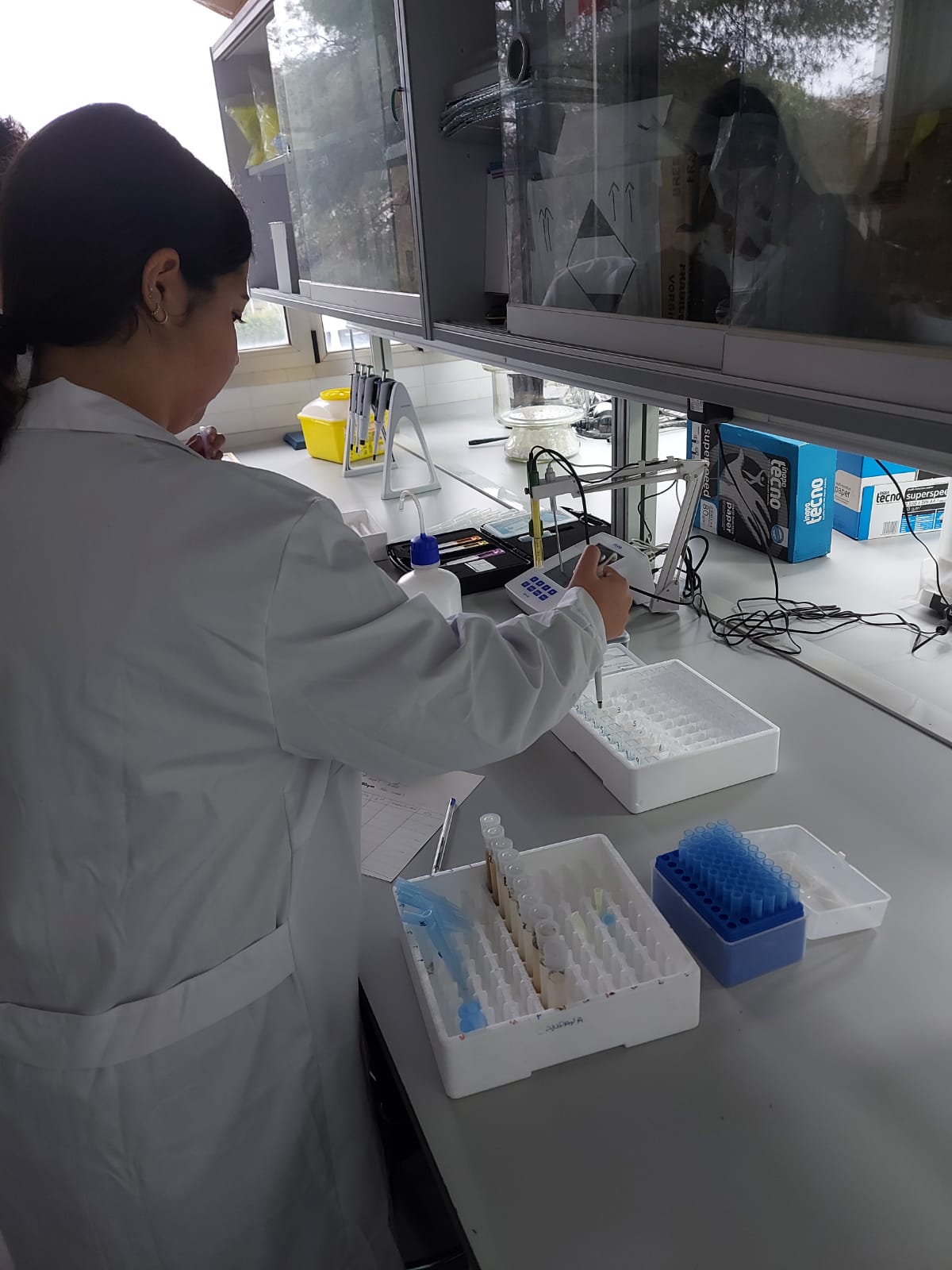 JORNADA DE INVESTIGACIÓN EN EL CEBAS-CSIC